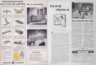 Better Homes & Gardens June 1953 Magazine Article: Page 20