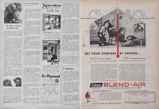 Better Homes & Gardens June 1953 Magazine Article: Page 156