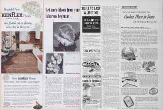 Better Homes & Gardens June 1953 Magazine Article: Get more bloom from your tuberous begonias