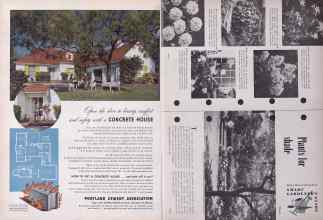 Better Homes & Gardens June 1953 Magazine Article: Page 254
