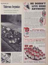 Better Homes & Gardens July 1953 Magazine Article: Sunshade for Tuberous begonias