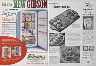 Better Homes & Gardens July 1953 Magazine Article: Page 102