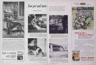 Better Homes & Gardens July 1953 Magazine Article: Your pet and mine