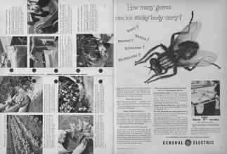 Better Homes & Gardens July 1953 Magazine Article: Page 172