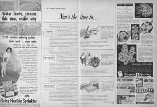 Better Homes & Gardens July 1953 Magazine Article: JULY GARDEN REMINDERS: Now's the time to . . .