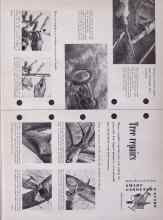 Better Homes & Gardens August 1953 Magazine Article: Tree repairs