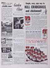 Better Homes & Gardens August 1953 Magazine Article: Garden Clinic