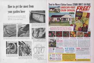 Better Homes & Gardens August 1953 Magazine Article: Page 146