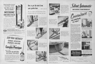 Better Homes & Gardens August 1953 Magazine Article: Page 148