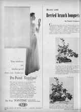 Better Homes & Gardens September 1953 Magazine Article: Beauty with Berried branch bouquets