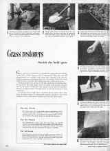 Better Homes & Gardens September 1953 Magazine Article: Grass restorers banish the bald spots