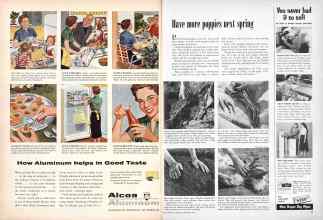 Better Homes & Gardens September 1953 Magazine Article: Page 46