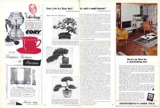 Better Homes & Gardens September 1953 Magazine Article: Page 148