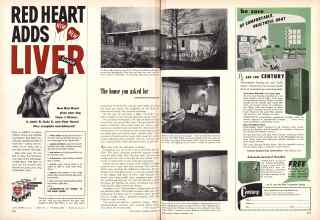 Better Homes & Gardens September 1953 Magazine Article: Page 258