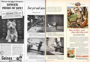 Better Homes & Gardens September 1953 Magazine Article: Your pet and mine