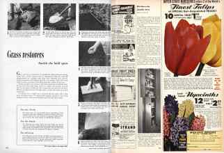 Better Homes & Gardens September 1953 Magazine Article: Page 280