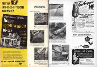 Better Homes & Gardens September 1953 Magazine Article: Page 282