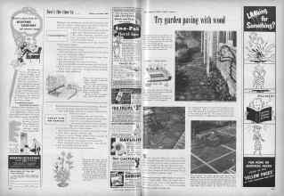 Better Homes & Gardens September 1953 Magazine Article: Page 294