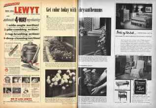 Better Homes & Gardens October 1953 Magazine Article: Get color today with chrysanthemums