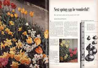 Better Homes & Gardens October 1953 Magazine Article: Next spring can be wonderful!