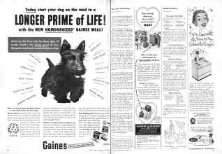 Better Homes & Gardens October 1953 Magazine Article: Page 212