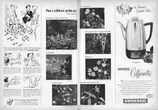 Better Homes & Gardens October 1953 Magazine Article: Page 272
