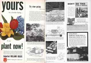 Better Homes & Gardens October 1953 Magazine Article: Page 316