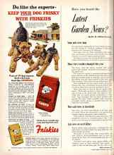 Better Homes & Gardens November 1953 Magazine Article: Have you heard the Latest Garden News?