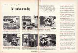Better Homes & Gardens November 1953 Magazine Article: Fall garden roundup