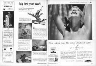 Better Homes & Gardens November 1953 Magazine Article: Page 220