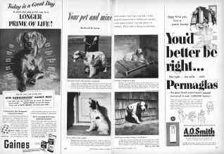 Better Homes & Gardens November 1953 Magazine Article: Page 242