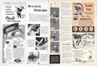 Better Homes & Gardens December 1953 Magazine Article: How to care for Christmas plants