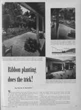 Better Homes & Gardens January 1954 Magazine Article: Ribbon planting does the trick!