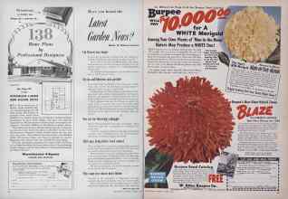 Better Homes & Gardens January 1954 Magazine Article: Page 24