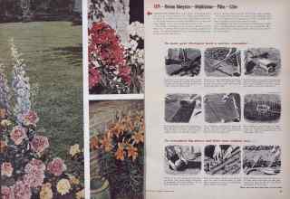 Better Homes & Gardens January 1954 Magazine Article: Page 42