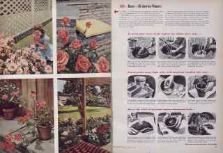 Better Homes & Gardens January 1954 Magazine Article: Page 44
