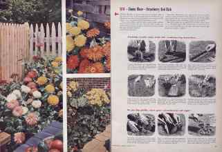 Better Homes & Gardens January 1954 Magazine Article: Page 46