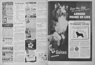 Better Homes & Gardens January 1954 Magazine Article: Page 128