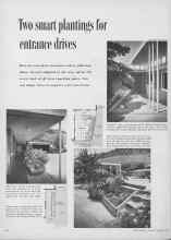 Better Homes & Gardens February 1954 Magazine Article: Two smart plantings for entrance drives