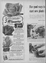 Better Homes & Gardens February 1954 Magazine Article: Five good ways to start new plants