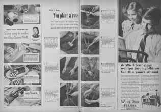 Better Homes & Gardens February 1954 Magazine Article: Page 10