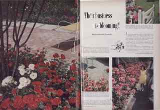Better Homes & Gardens February 1954 Magazine Article: Their business is blooming!