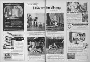 Better Homes & Gardens February 1954 Magazine Article: Page 140