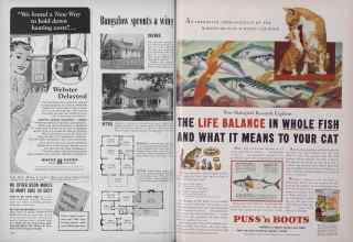 Better Homes & Gardens February 1954 Magazine Article: Page 142