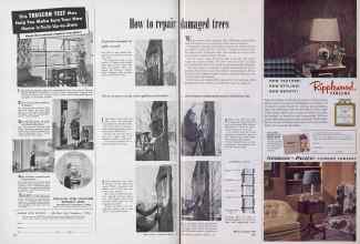 Better Homes & Gardens February 1954 Magazine Article: How to repair damaged trees