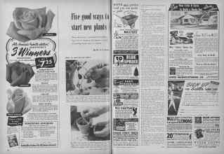 Better Homes & Gardens February 1954 Magazine Article: Page 184