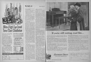 Better Homes & Gardens March 1954 Magazine Article: Page 12