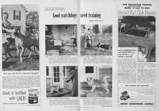 Better Homes & Gardens March 1954 Magazine Article: Good watchdogs need training