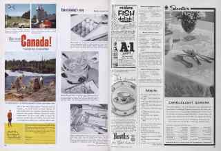 Better Homes & Gardens March 1954 Magazine Article: Page 186