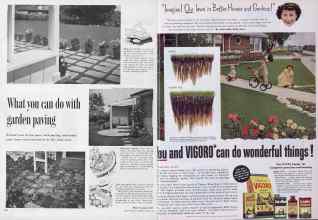 Better Homes & Gardens March 1954 Magazine Article: Page 244